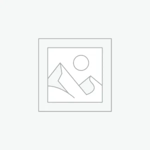 Sed dolor training shoes